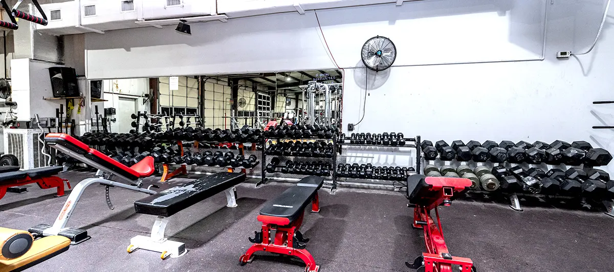 A long dumbbell rack against the wall with flat and adjustable benches lined up in front of it.